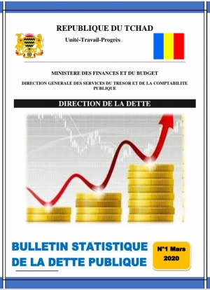 Bulletins statistiques de la dette N° 2 et 3  2020