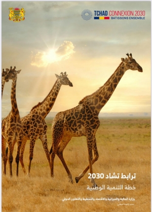 خطة التنمية الوطنية ترابط تشاد 2030